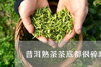 普洱熟茶茶底都很碎吗/2023092495160