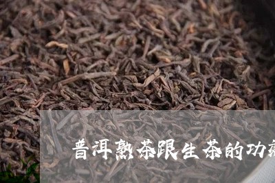 普洱熟茶跟生茶的功效/2023092491727