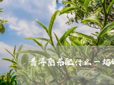 普洱熟茶配什么一起好/2023092439493