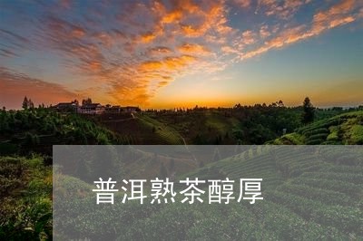 普洱熟茶醇厚/2023090725162