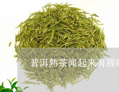 普洱熟茶闻起来有腥味/2023061302704