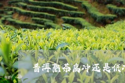 普洱熟茶高冲还是低冲/2023092464758