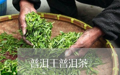 普洱王普洱茶/2023042831748