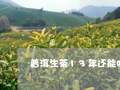 普洱生茶13年还能喝吗/2023050610571