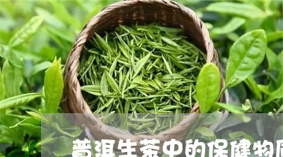 普洱生茶中的保健物质/2023092451605