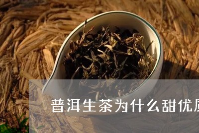 普洱生茶为什么甜优质普洱熟茶滋味/2023060323948