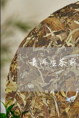 普洱生茶前三名老班章/2023092419694