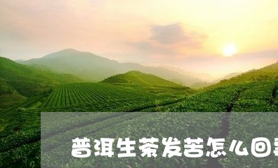 普洱生茶发苦怎么回事茶花式普洱茶/2023060375079