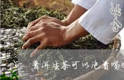 普洱生茶可以泡着喝吗/2023061376948