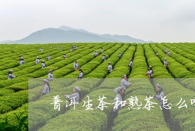 普洱生茶和熟茶怎么喝能减肥/2023052916258