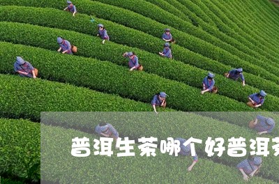 普洱生茶哪个好普洱茶有哪些大品牌/2023060395048