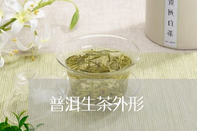 普洱生茶外形/2023090608258