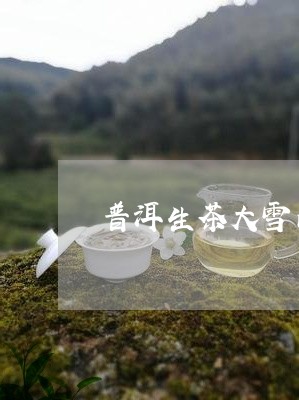 普洱生茶大雪山的特点/2023092460605