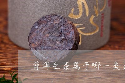 普洱生茶属于哪一类茶/2023092445481