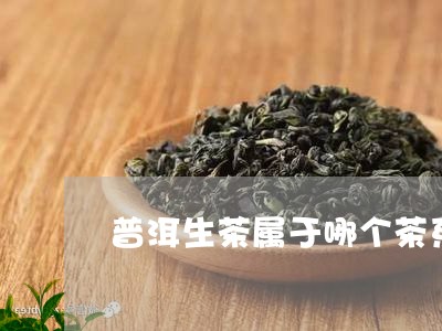 普洱生茶属于哪个茶系/2023092445938