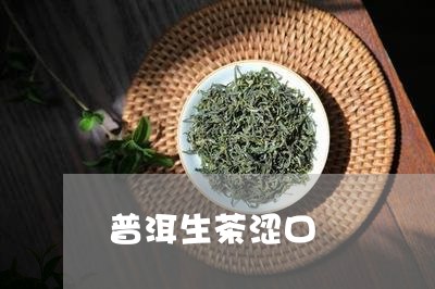 普洱生茶涩口/2023090792039