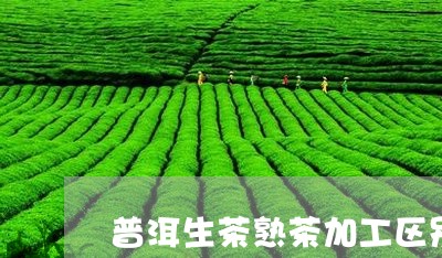 普洱生茶熟茶加工区别/2023092404351