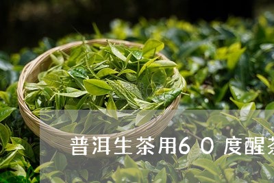 普洱生茶用60度醒茶/2023061341714