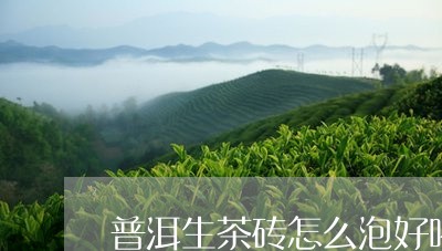 普洱生茶砖怎么泡好喝/2023092471704