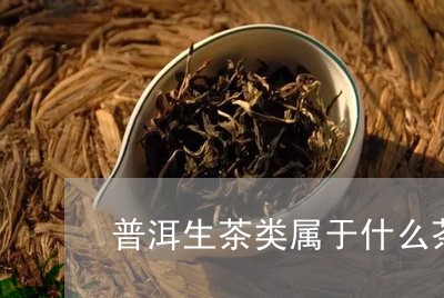 普洱生茶类属于什么茶类可常年保存/2023060330261