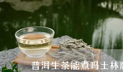 普洱生茶能煮吗土林牌普洱茶/2023052798481