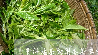 普洱生茶能用蒸茶器吗/2023092414936