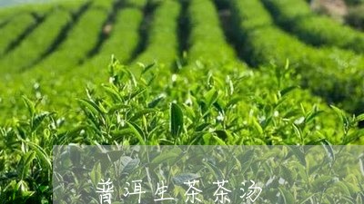 普洱生茶茶汤/2023090728168