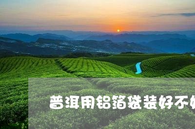 普洱用铝箔袋装好不好/2023092494148