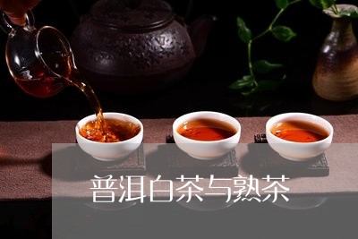 普洱白茶与熟茶/2023111770683