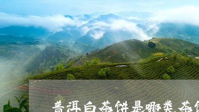 普洱白茶饼是哪类茶饼好/2023111740706