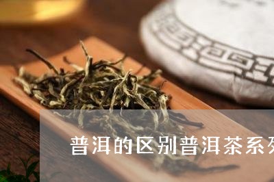 普洱的区别普洱茶系列有哪些/2023052713725