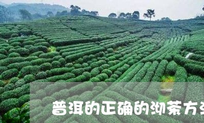 普洱的正确的沏茶方法普洱茶是/2023053020404