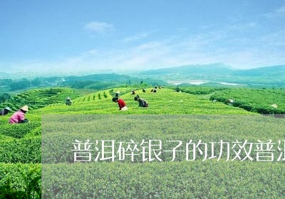 普洱碎银子的功效普洱茶碎银子价格/2023060322816