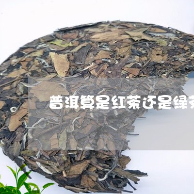 普洱算是红茶还是绿茶/2023092554260