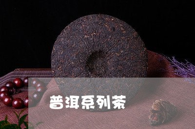 普洱系列茶/2023090608148