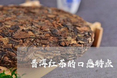 普洱红茶的口感特点/2023042865059