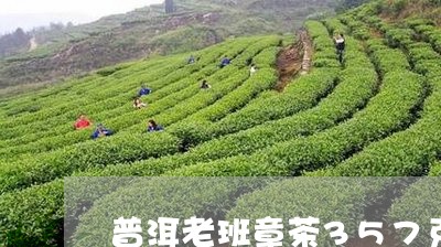 普洱老班章茶357克/2023092493726