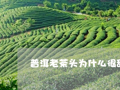 普洱老茶头为什么很甜/2023061312835