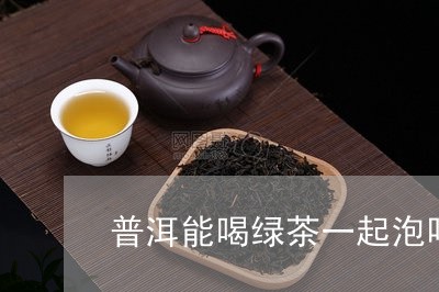 普洱能喝绿茶一起泡吗/2023092501794