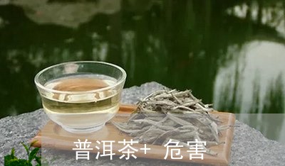 普洱茶+危害/2023042857210