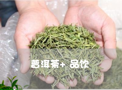 普洱茶+品饮/2023042797578