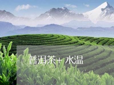 普洱茶+水温/2023042854505