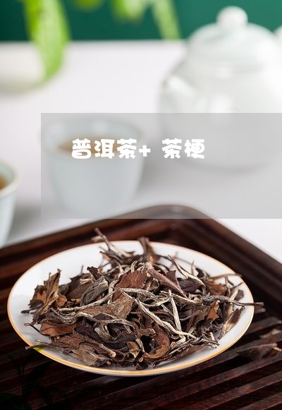 普洱茶+茶梗/2023042835141