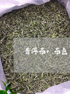 普洱茶+茶色/2023042818429