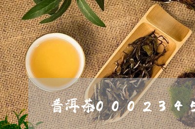 普洱茶0002345冲泡法/2023052733026