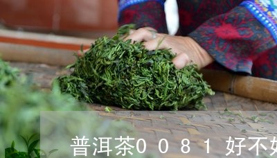 普洱茶0081好不好/2023100614027