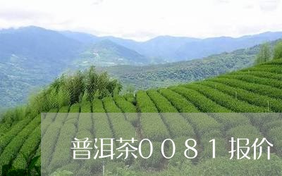 普洱茶0081报价/2023091486260