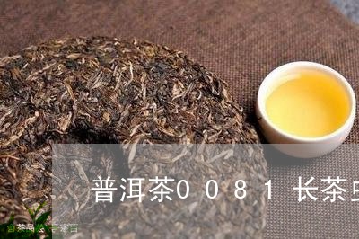 普洱茶0081长茶虫/2023062860603