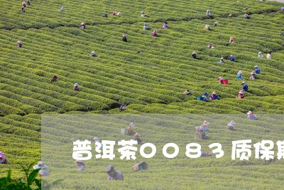 普洱茶0083质保期/2023062894039