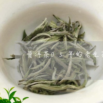 普洱茶05年的老生茶/2023080317161